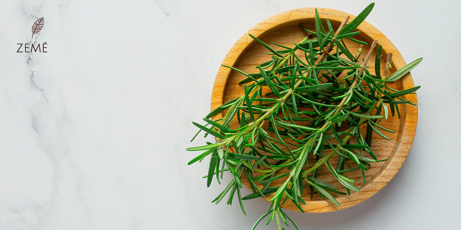 Rosemary for hair Zemé The purest hair products you can find